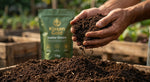 Kisan Gold Flowering Plant Soil Conditioner thumbnail