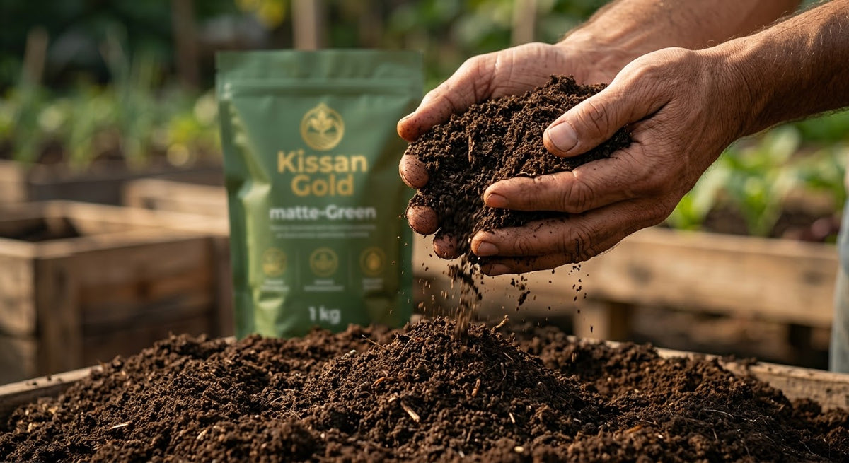 Kissan Gold organic vermicompost fertilizer beside a garden bed